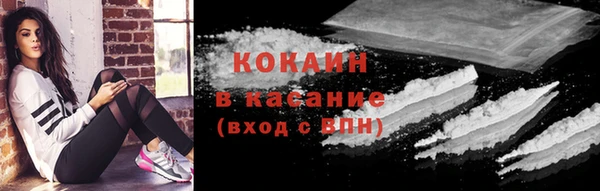 тгк Ельня