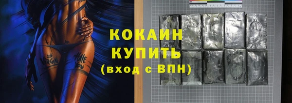 гашик Дмитровск
