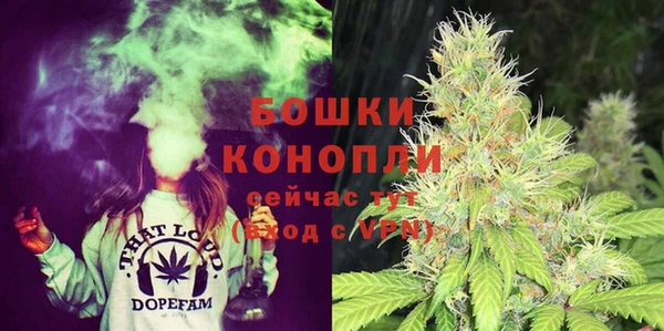 спиды Дмитриев