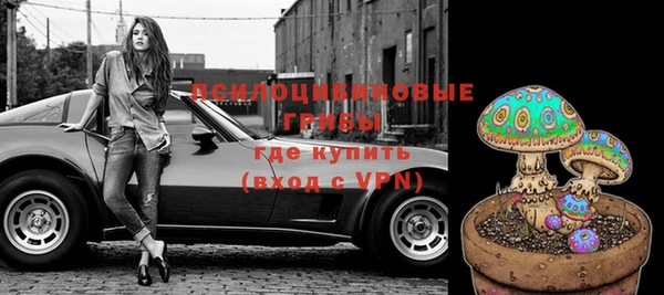 не бодяженный Дмитров