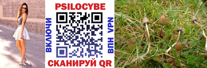 Псилоцибиновые грибы Psilocybe  Купить где  Новоуральск 