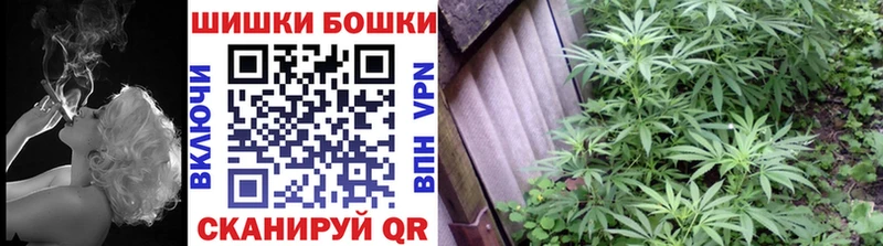 Шишки марихуана марихуана  Купить где  Новоуральск 